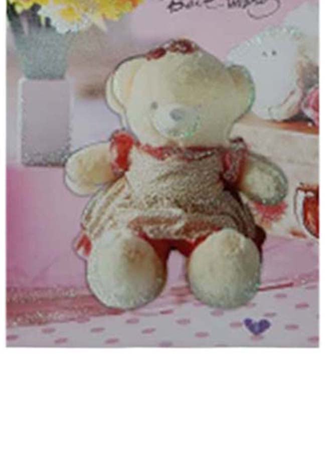 Toshionics Valentine Card - Teddy Bear Theme  - Image 5