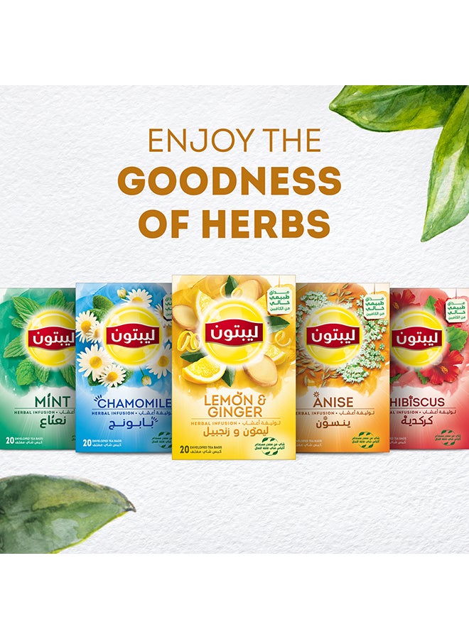 Lipton - Herbal Infusion Tea Lemon And Ginger, 20 Teabags 32grams - Image 1