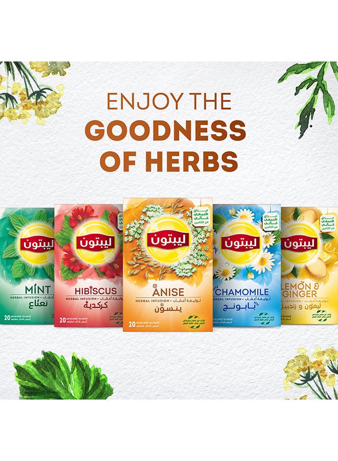 Lipton - Herbal Infusion Anise 20 Enveloped Tea Bags 32grams - Image 1