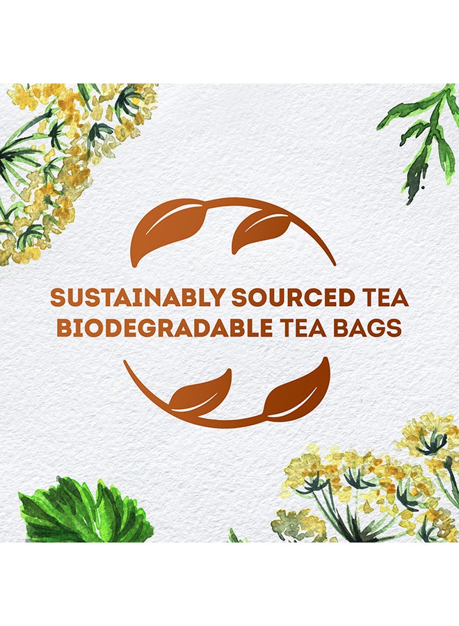 Lipton - Herbal Infusion Anise 20 Enveloped Tea Bags 32grams - Image 1