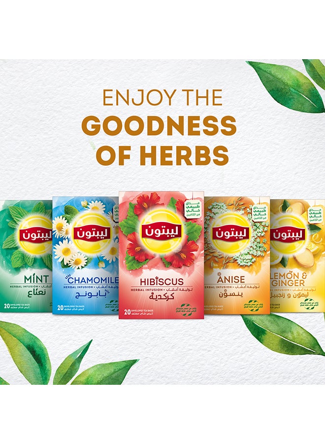 Lipton - Herbal Infusion Tea Hibiscus 20 Teabags 2grams Single - Image 1