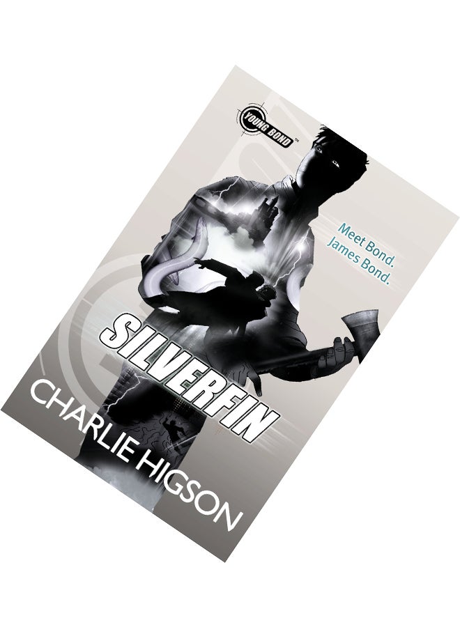 SilverFin printed_book_paperback english - 29-May-12