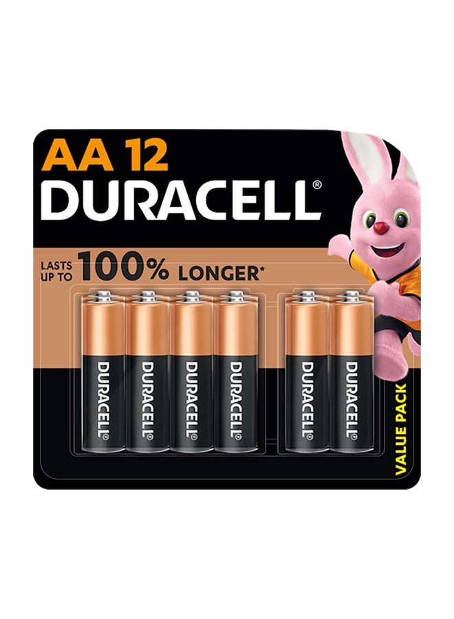 Duracell Superior Nylon Top Closure Type AA Alkaline Batteries 12 Pieces - Image 1