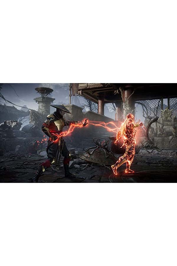 Warner Bros Mortal Kombat 11 - (Intl Version) - Nintendo Switch - Image 2