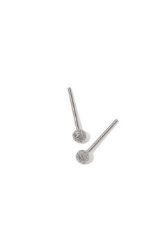 Fashion Ladies Earrings Sve0148