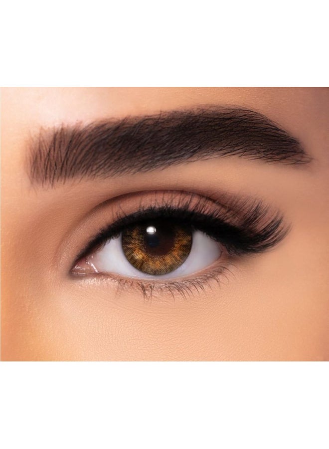 ألكون Freshlook Pure Hazeldaily Disposable Pack Of 90 Conatct Lenses  - Image 1