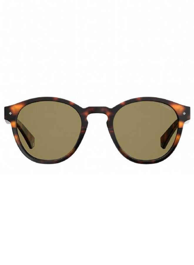 Polaroid Oval Sunglasses  - Image 2
