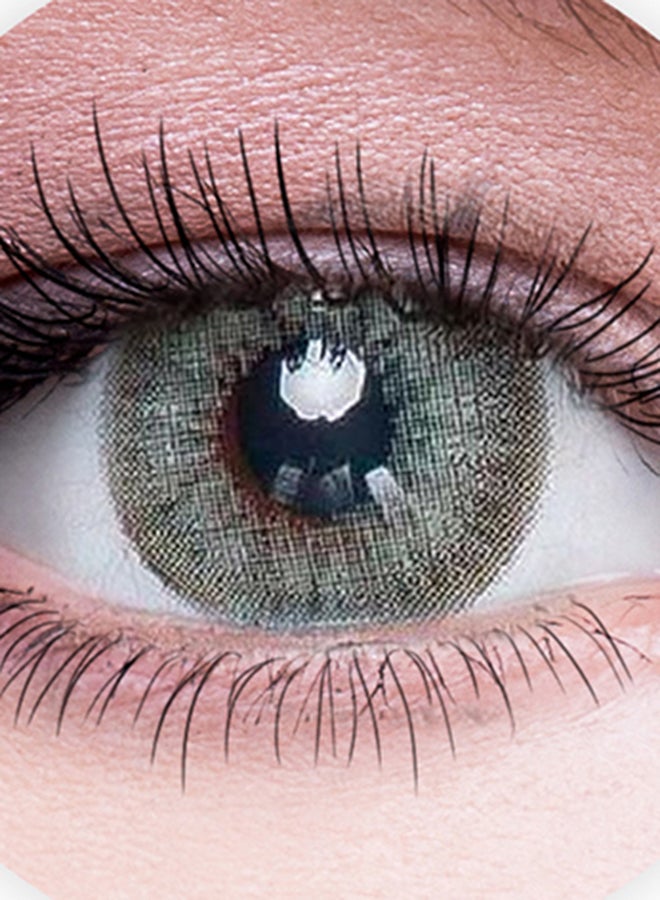 Dahab - Sabrin Gray Green 9 Months Contact Lenses - Image 1