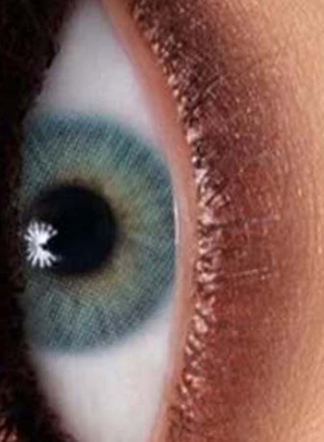 10-Pieces One Day Disposable Contact Lenses