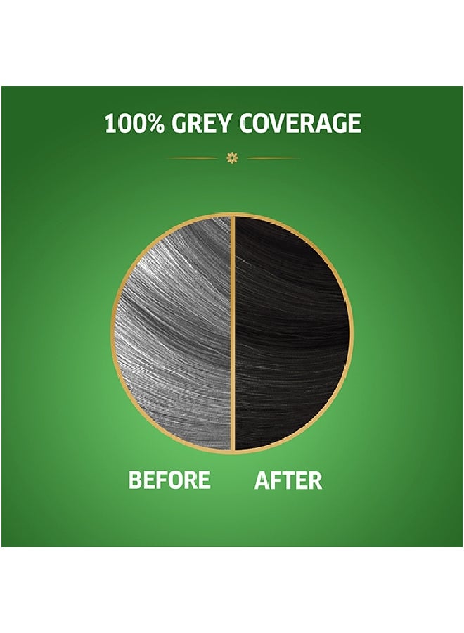 WELLA Koleston Naturals Hair Color 2/0 Balckberry  - Image 3