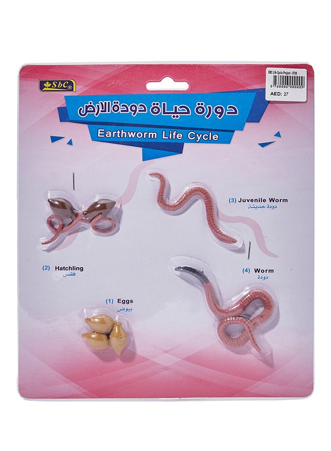 اس بي سي دورة حياة دودة الأرض زهري/بني - Image 1