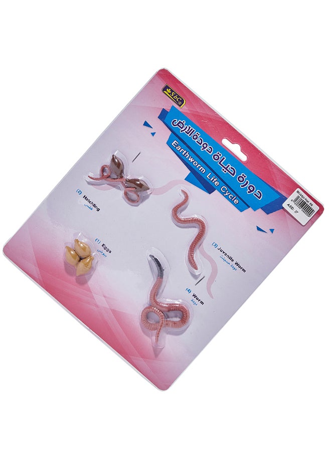 اس بي سي دورة حياة دودة الأرض زهري/بني - Image 2