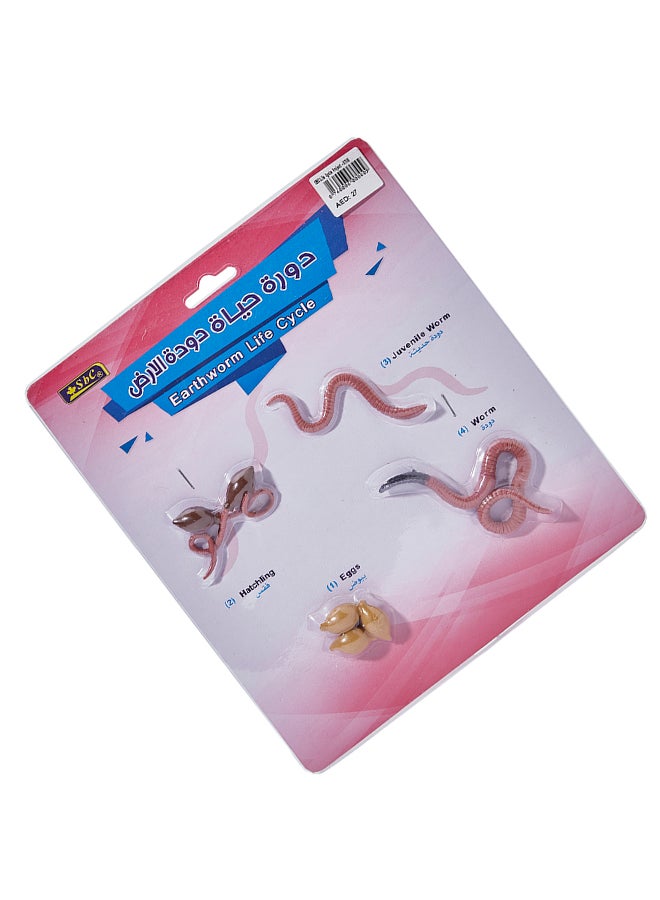 اس بي سي دورة حياة دودة الأرض زهري/بني - Image 3