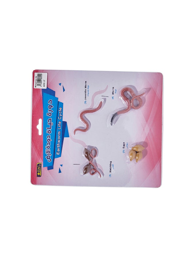 اس بي سي دورة حياة دودة الأرض زهري/بني - Image 4