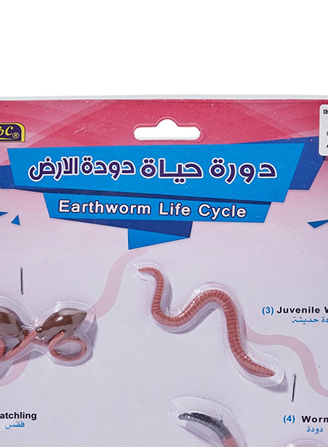 اس بي سي دورة حياة دودة الأرض زهري/بني - Image 5