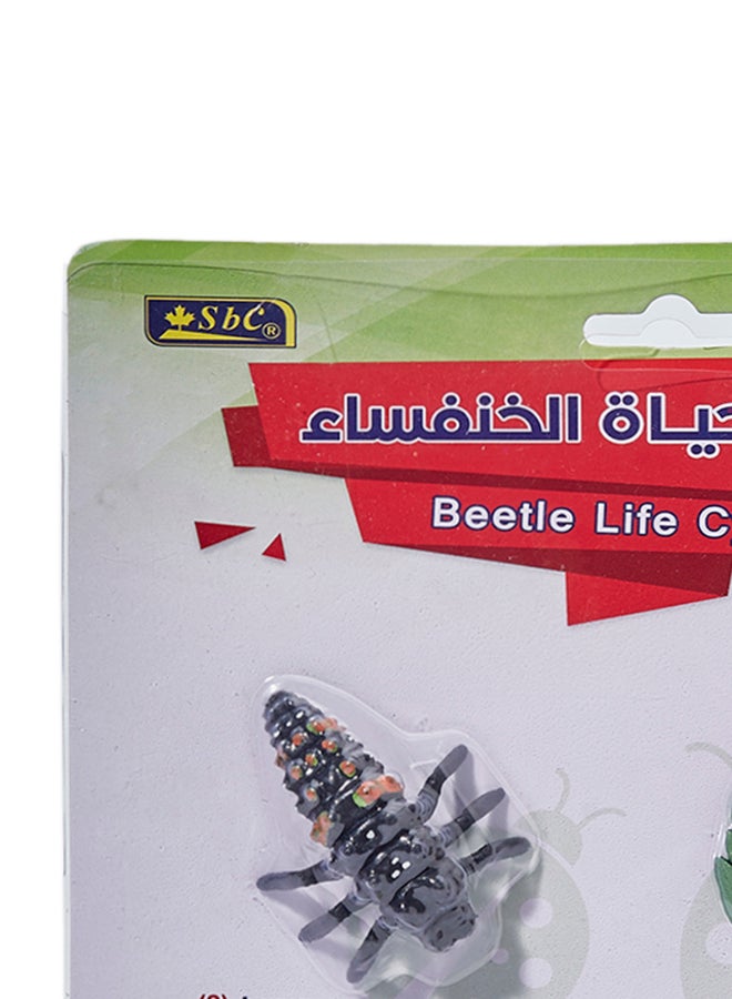 اس بي سي - دورة حياة الخنفساء أحمر / أسود / أخضر - Image 1