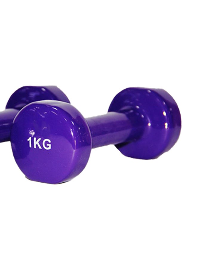 Generic - Classical Head Vinyl Dumbbells 2x1kg - Image 1