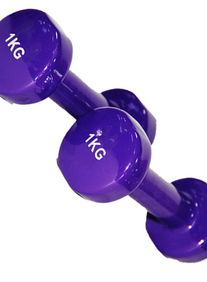 Generic - Classical Head Vinyl Dumbbells 2x1kg - Image 1