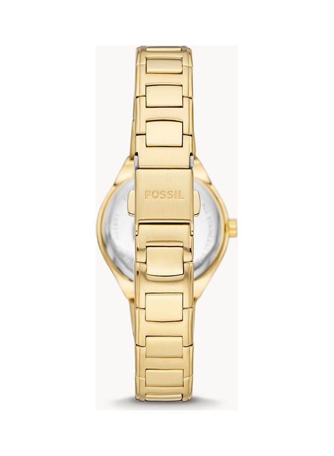 FOSSIL Women's Analog Round Shape Stainless Steel Wrist Watch BQ3801 30 mm - Image 2
