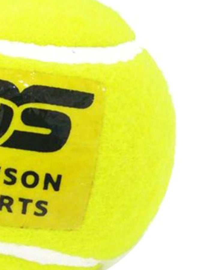 داوسون سبتورتس كرة كريكت متينة للتنس 0.12كيلوجرام - Image 5