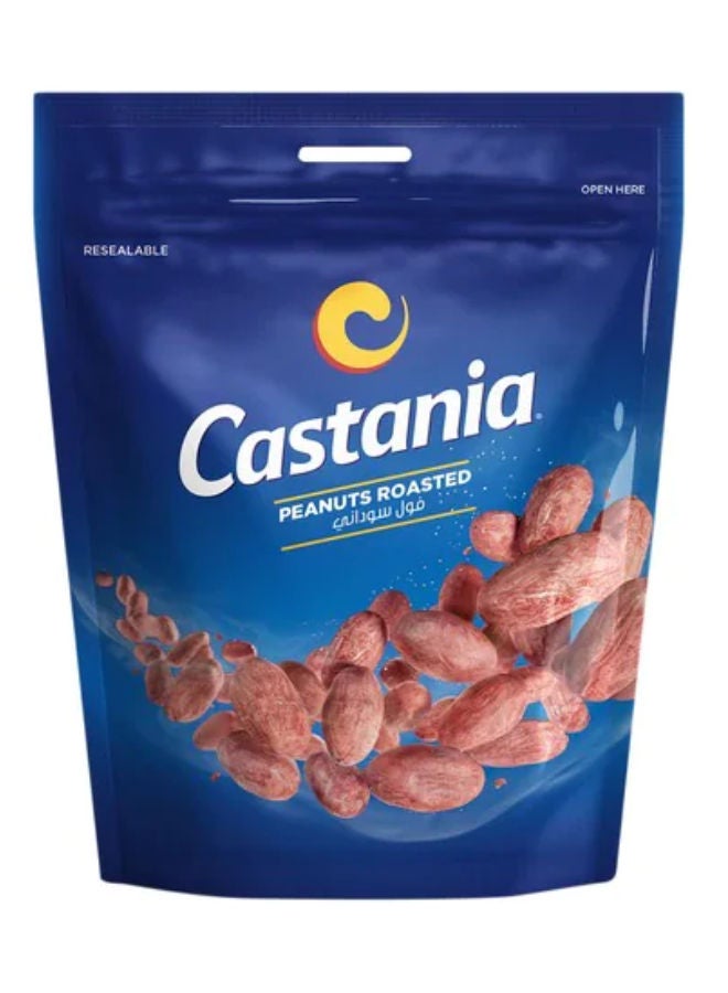 Castania Roasted Peanut 100grams  - Image 1