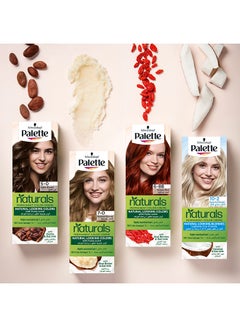 Palette 1-Piece Permanent Natural Colours Cream Medium Brown  - Image 4