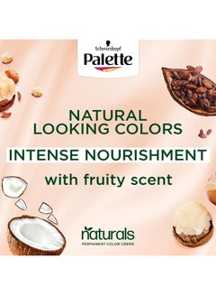 Palette 1-Piece Permanent Natural Colours Cream Medium Brown  - Image 5