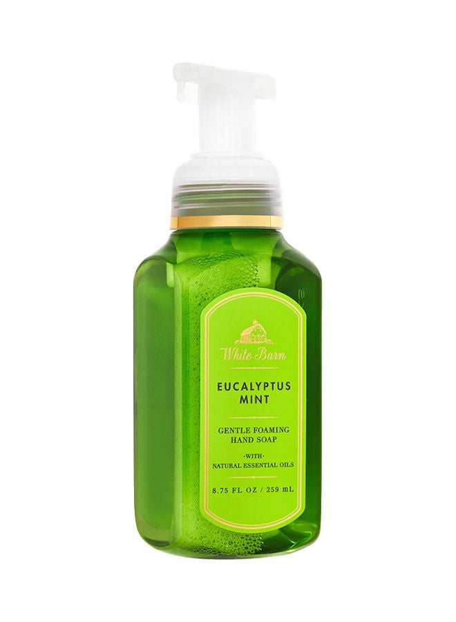 Buy Bath & Body Works Eucalyptus Mint Gentle Foaming Hand Soap Online ...