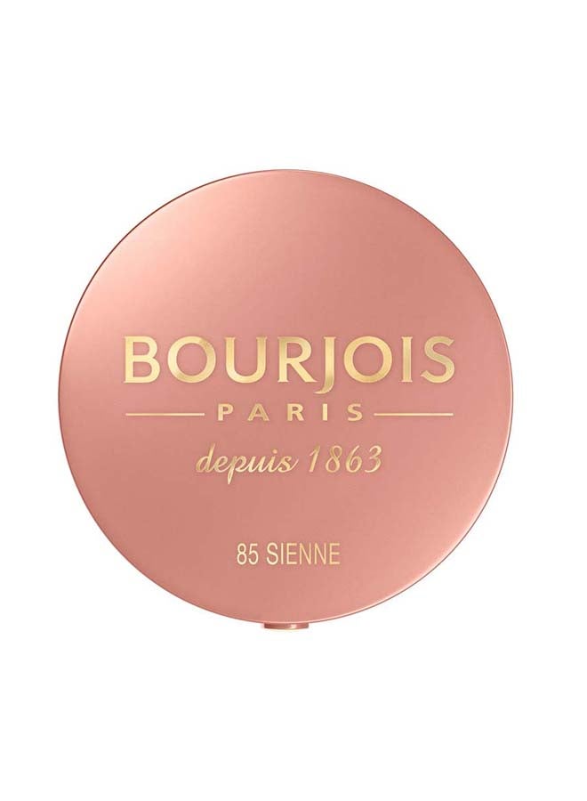 Little Round Pot Blusher 2.5 g 85 Sienne - v1683104053/N20426149A_2