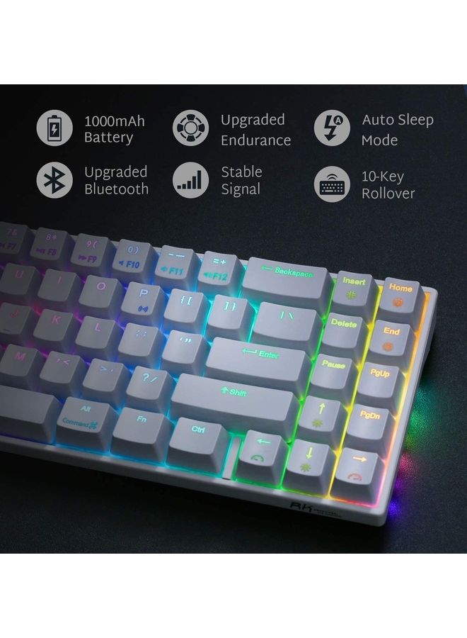 RK71 Tri - Mode Hot Swapable RGB RGB Wireless Mechanical Gaming Keyboard Brown Switch