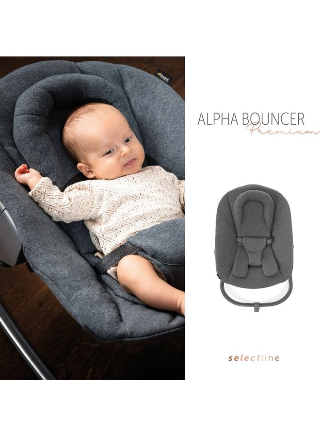hauck - Newborn Bouncer Premium Attachment For High Chair Alpha And Beta From Birth - 2 In 1 Baby Attachment (Lounger And Rocker) For Newborns With Adjustable Backrest And Cotton - Dark Grey - Image 1