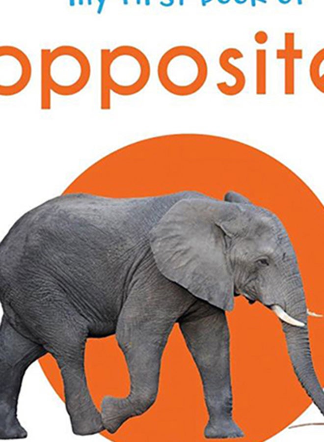 My First Book Of Opposites Board Book English by Wonder House - 25-Apr-18 - Image 3