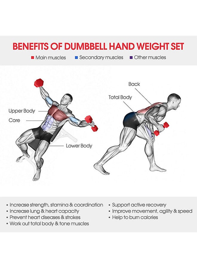 Fitness World Gym Dumbbell 2kg  - Image 4