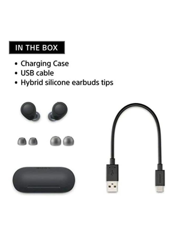 سوني سماعات اذن لاسلكية بتقنية البلوتوث بخاصية الغاء الضوضاء مع ميكروفون ومقاومة للماء IPX4، اسود أبيض - Image 2