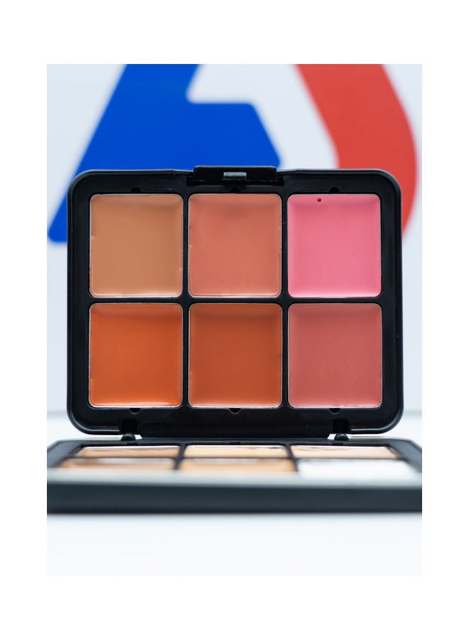 ROSE BERRY Concealer Cream & Blusher Cream Palette 12g - 12 Colors Multicolour  - Image 2
