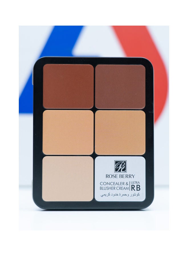 ROSE BERRY Concealer Cream & Blusher Cream Palette 12g - 12 Colors Multicolour  - Image 4