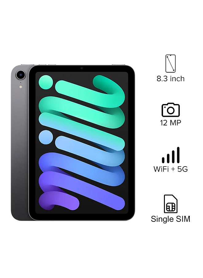 Apple iPad Mini 2021 (6th Generation) 8.3inch, 256GB, WiFi, 5G, Space Gray with Facetime - International version