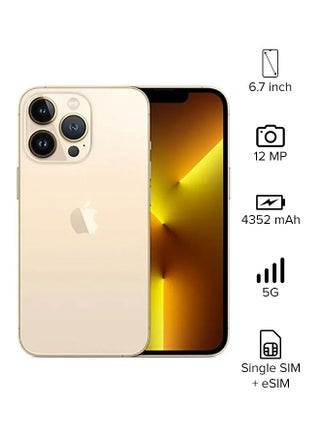 iPhone 13 Pro Max With FaceTime 256GB Gold 5G - USA Version - v1686205693/N52062874A_1