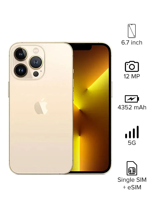 iPhone 13 Pro Max With FaceTime 256GB Gold 5G - USA Version