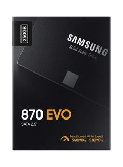 870 EVO SATA SSD 250GB 2.5 Inches Internal Solid State Hard Drive 250.0 GB