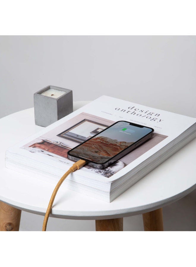 Native Union Belt 3M Cable - USB C To Lightning Kraft - Image 3