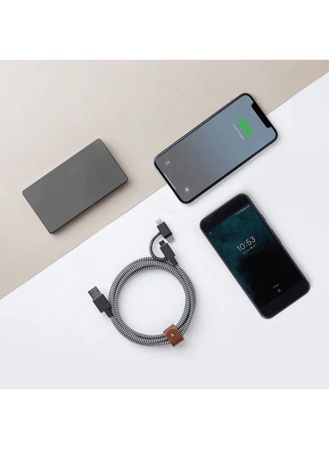 Native Union - 1.5M Belt Cable Duo USB-C To C + Lightning Zebra - Image 1