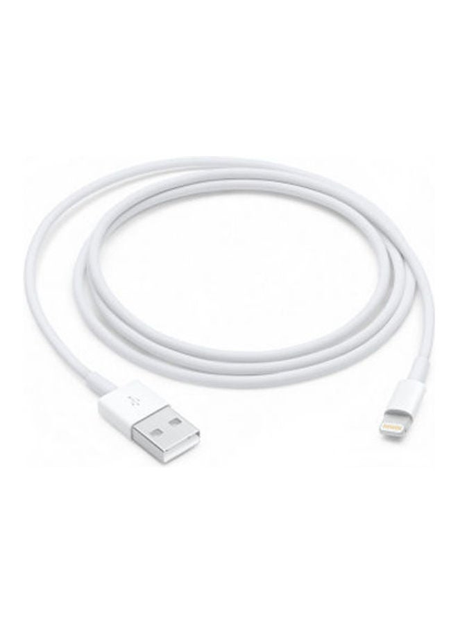 Apple Lightning to USB Cable (1 m) white