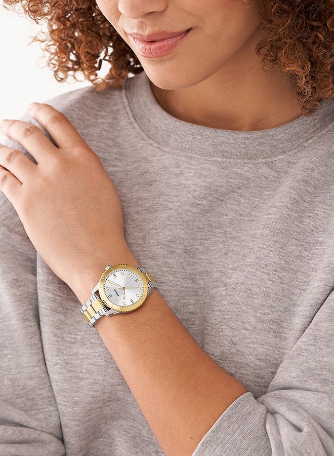 FOSSIL Women's Analog Round Shape Stainless Steel Wrist Watch BQ3888 - 38Mm  - Image 5