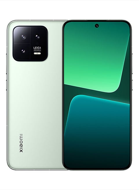 13 Dual Sim Flora Green 8GB RAM 256 GB 5G - Global Version