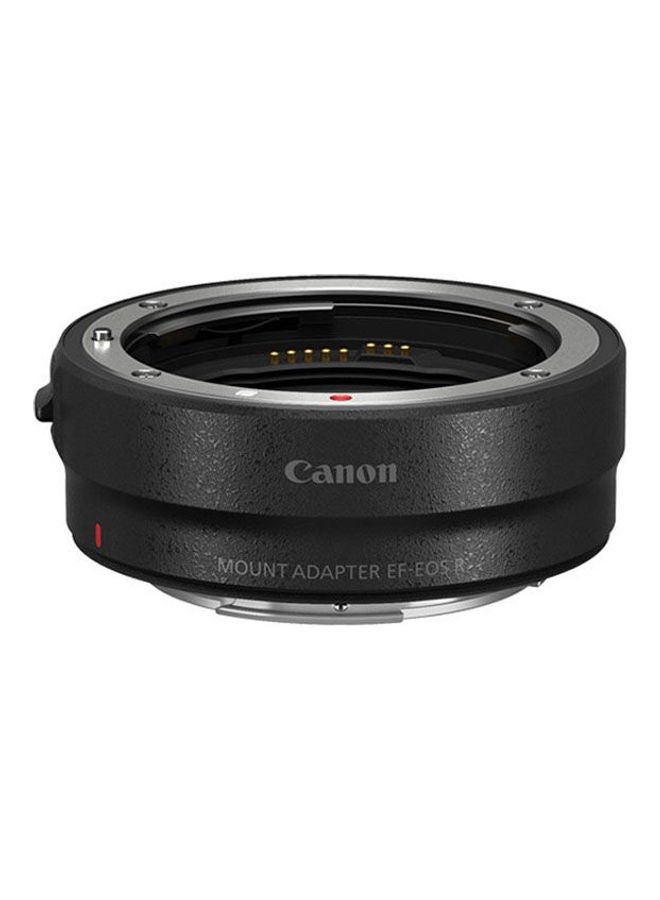 كاميرا EOS R10 بدون مرآة + عدسة RF-S مقاس 18-45 مم F4.5-6.3 IS STM مع حقيبة حافظة HL110 رمادي + محول التركيب EF-EOS R