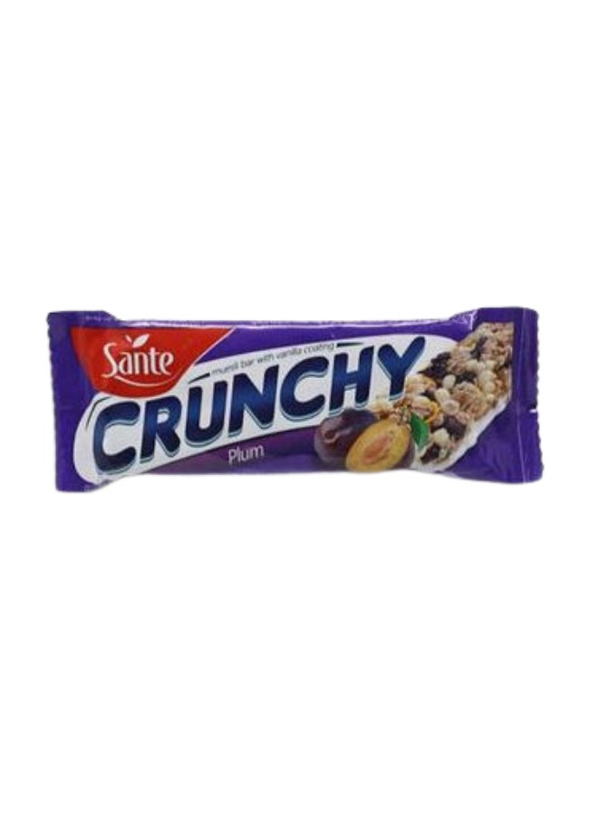 Sante Crunchy Plum Chocolate Bar 40grams 