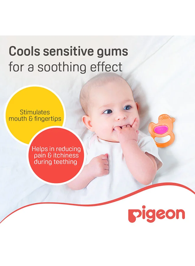 pigeon Cooling Teether - Duck
