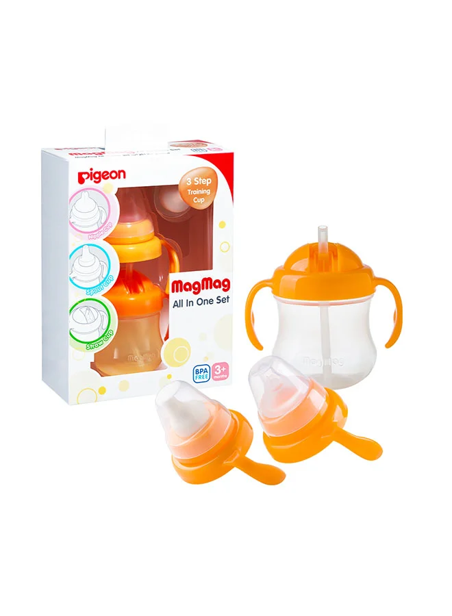 pigeon Mag Mag All in One Set Training Cup - 3+ Months