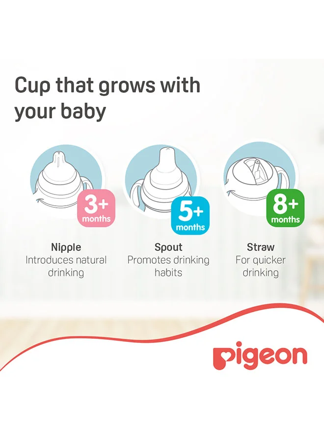 pigeon Mag Mag All in One Set Training Cup - 3+ Months